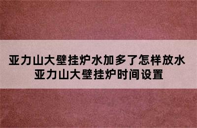 亚力山大壁挂炉水加多了怎样放水 亚力山大壁挂炉时间设置